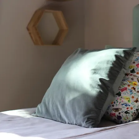 公寓 瓦尔萨布昂城市一室公寓 *