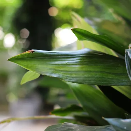 Valsabbion דירה *